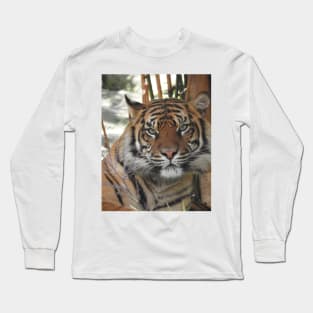 Sumatran Tiger Long Sleeve T-Shirt